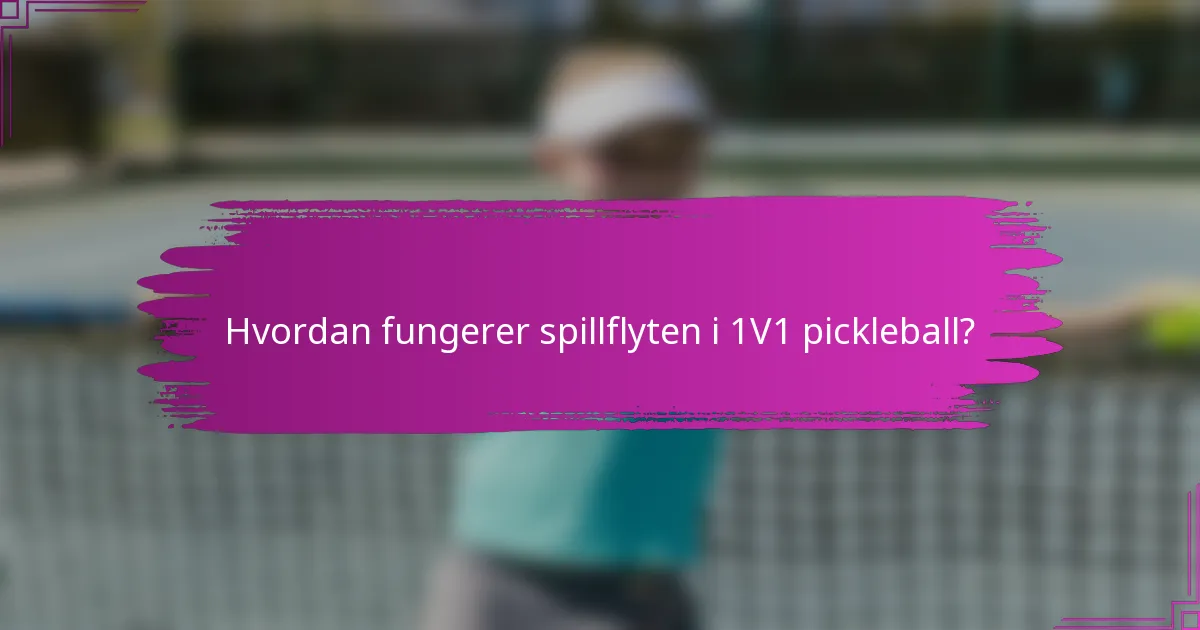 Hvordan fungerer spillflyten i 1V1 pickleball?